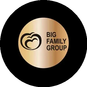 Логотип компании Big Family