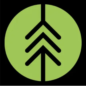 Логотип компании Kedr Solutions