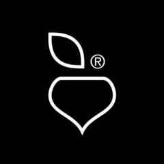 Логотип компании Redis Agency