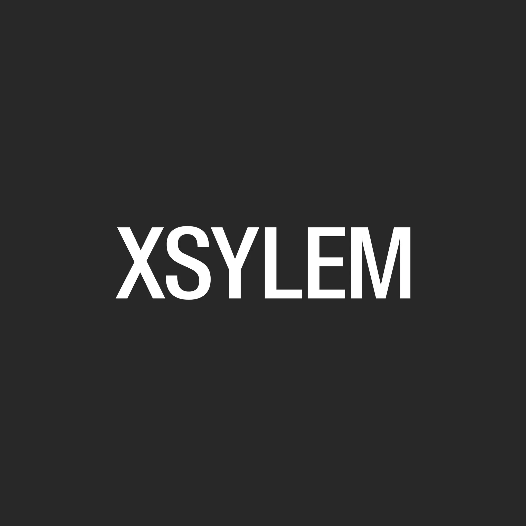Логотип компании XSYLEM