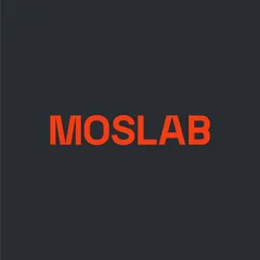 Логотип компании Мослаб