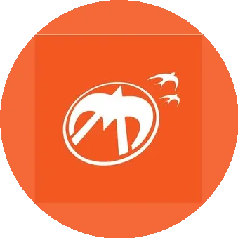 Логотип компании Мослифт